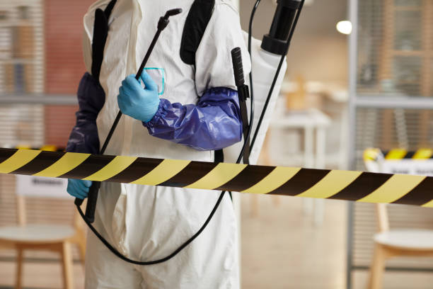 Professional Sewage Cleanup technician working in Logan, IA